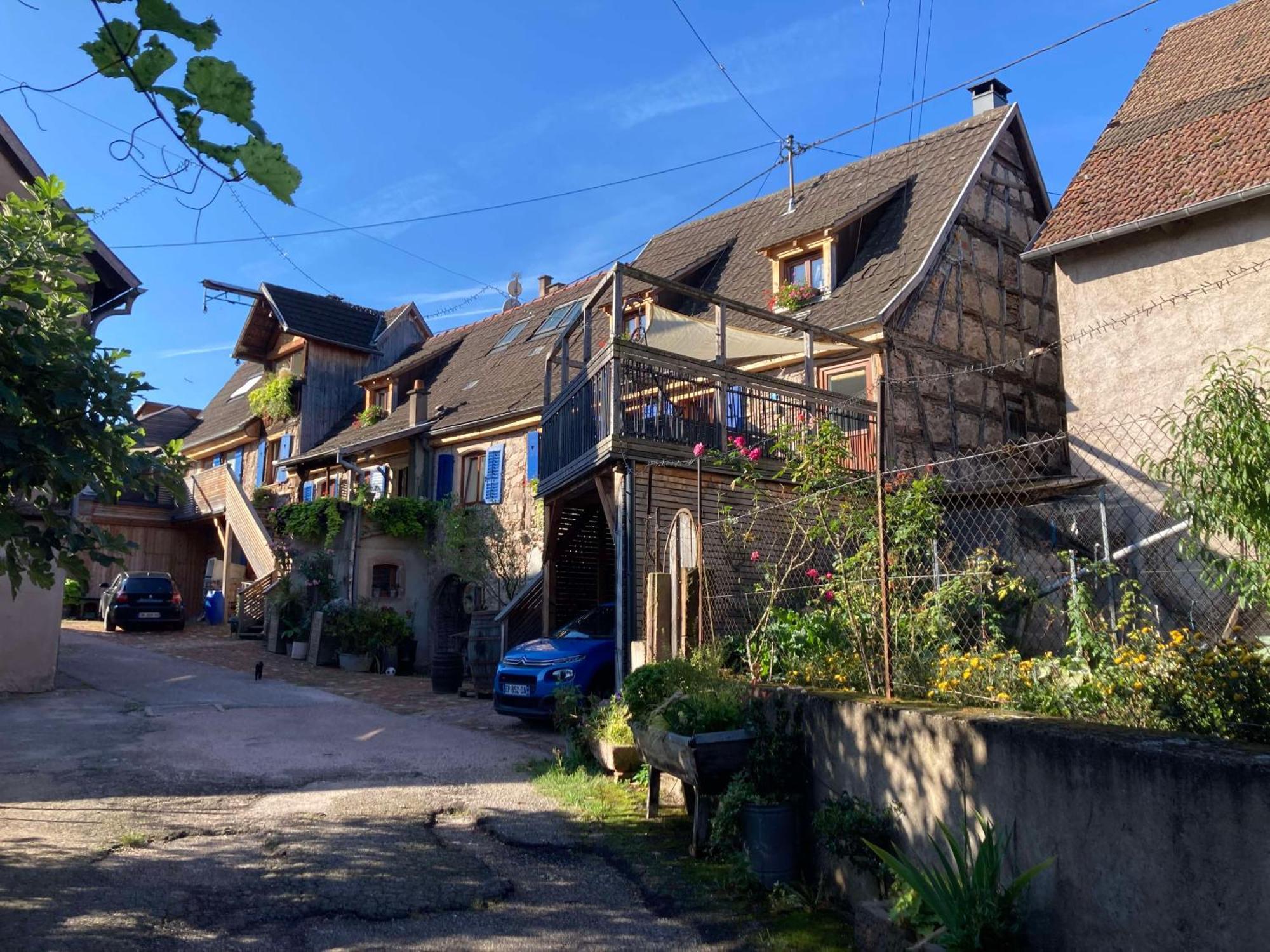 Les Gites Du Raceme Blienschwiller 외부 사진